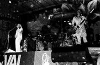 Live Shots